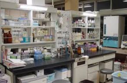 تجهیز کننده آزمایشگاه کنترل کیفیت غذایی ومیکروبی غذایی لقمان پژوهش بهینه