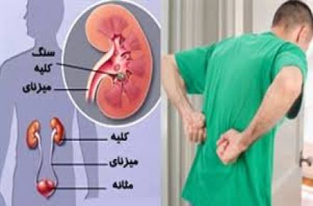 دکتر محمد رضا قرائتی متخصص کلیه و مجاری ادراری - 1