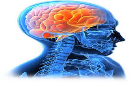 دکتر علی راست منش متخصص مغز و اعصاب و ستون فقرات - 1