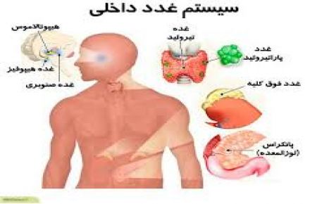 دکتر محمدحسین دباغ منش فوق تخصص غدد، رشد و متابولیسم در شیراز - 1