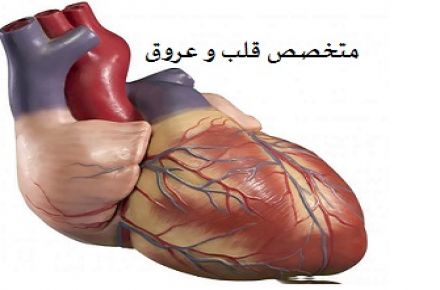  دکتر اشرف باقری فوق تخصص قلب و عروق - 1