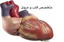 دکتر اشرف باقری فوق تخصص قلب و عروق