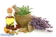 طب سنتی ،گیاهان دارویی و زیبایی کاکتوس